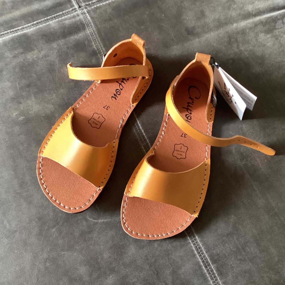 NWT Crupon Febo 37